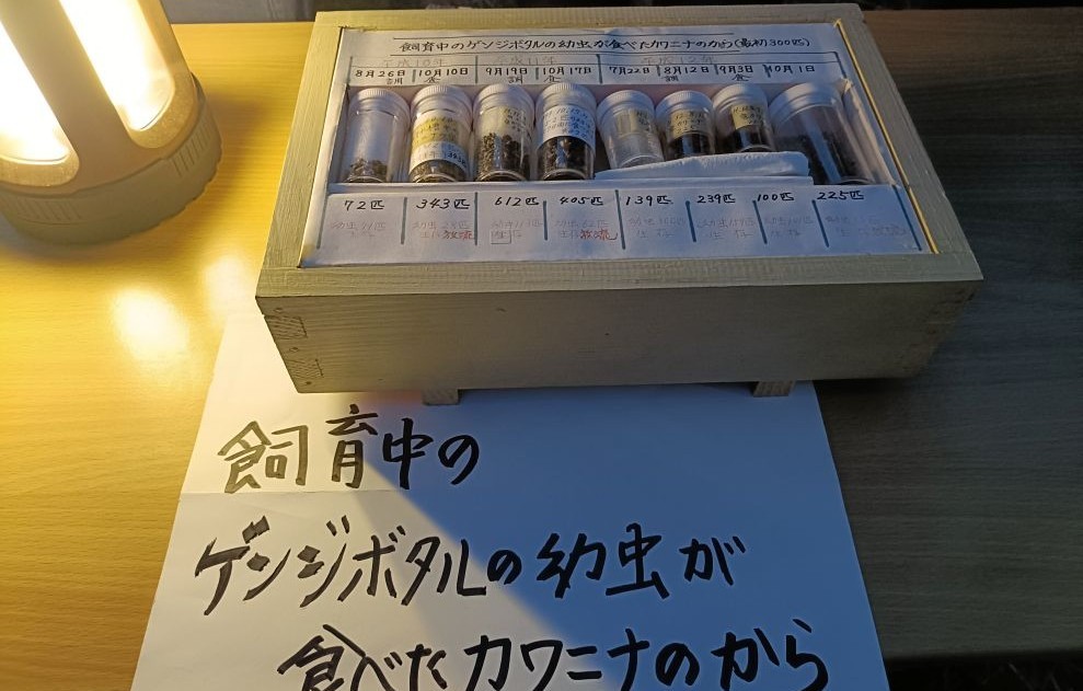 13.カワニナのから