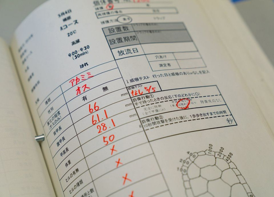 高屋先生②